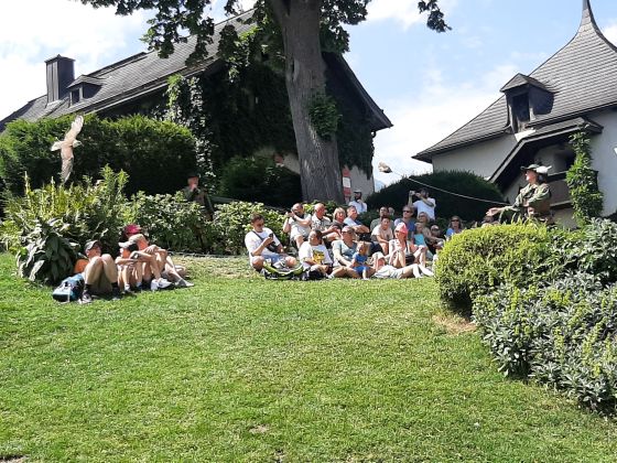 Di: Ausflug zur Burg Hohenwerfen mit Greifvogelschau des historischen Landesfalkenhofes